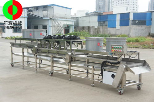 博樂砂糖橘速凍生產線與草石蠶生產線性價比及紙板復合生產線選購指南